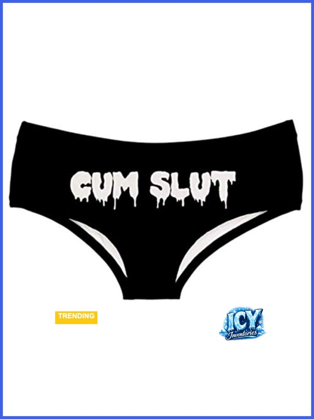 Funny Cat Panties Women's Boyshort Underwear